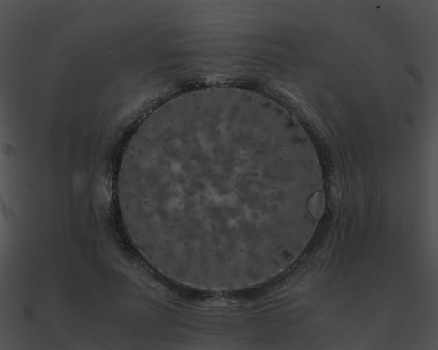 X0000090990691200708021522