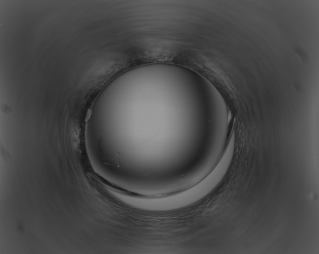 X0000090990693200708021522
