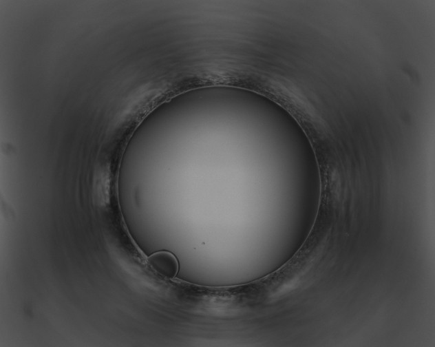 X0000090990694200708021522