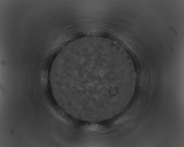 X0000090990695200708021522