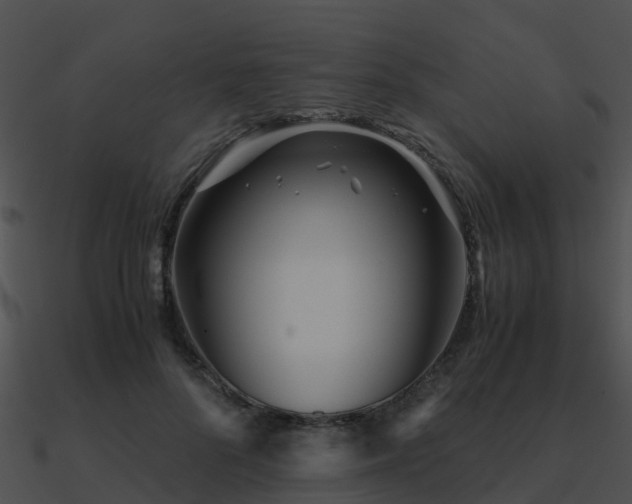 X0000090990696200708021522