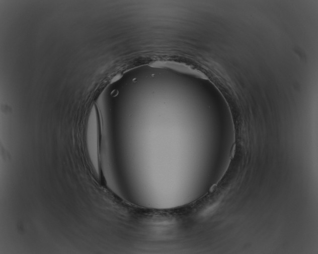 X0000090990697200708021522