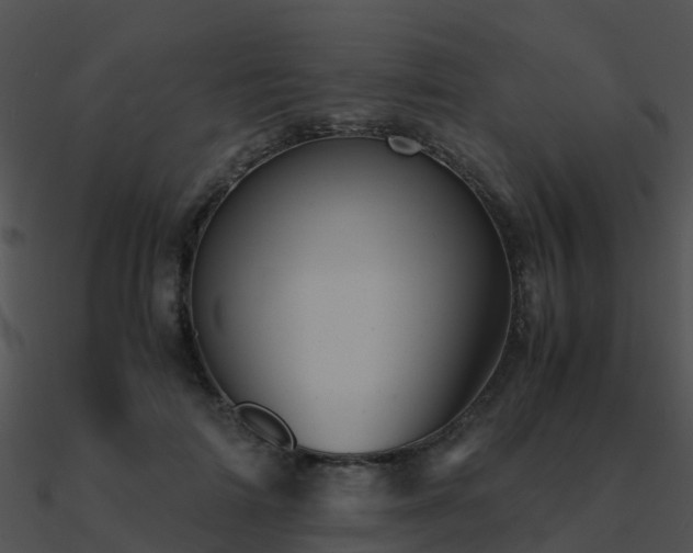 X0000090990698200708021522