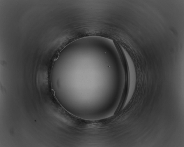 X0000090990700200708021522