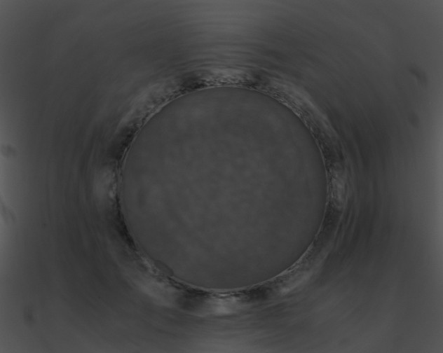 X0000090990701200708021522