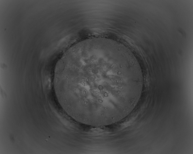 X0000090990703200708021522