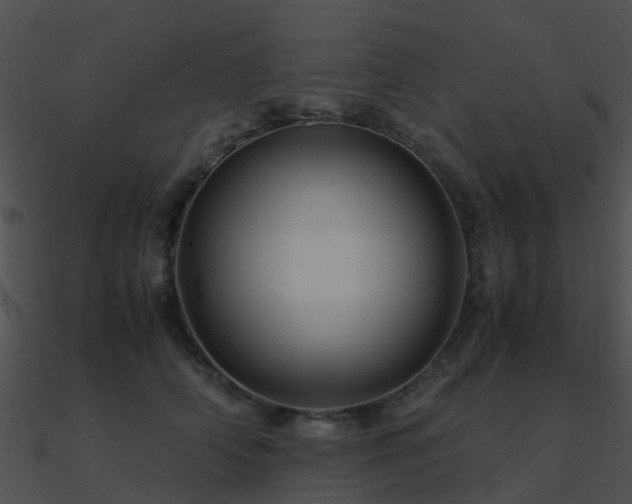 X0000090990706200708021522