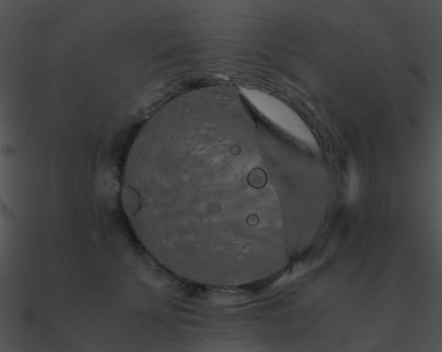 X0000090990707200708021522