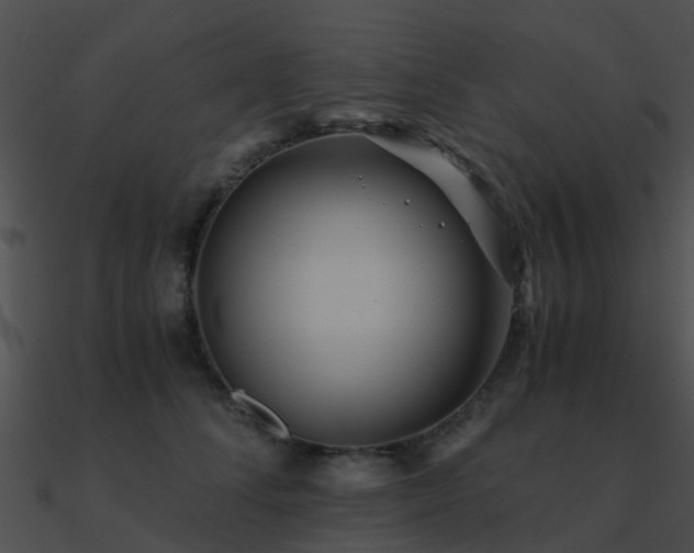 X0000090990708200708021522
