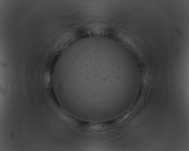 X0000090990709200708021522