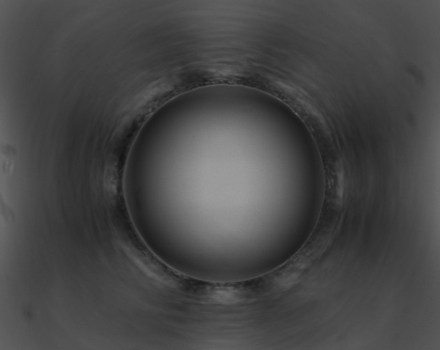 X0000090990710200708021522