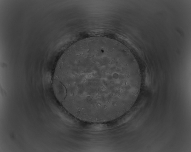 X0000090990711200708021522