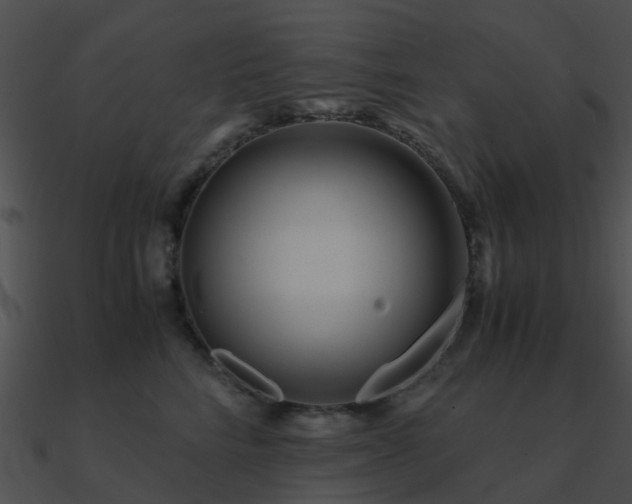 X0000090990712200708021522