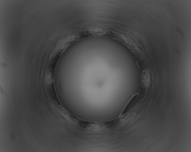 X0000090990713200708021522