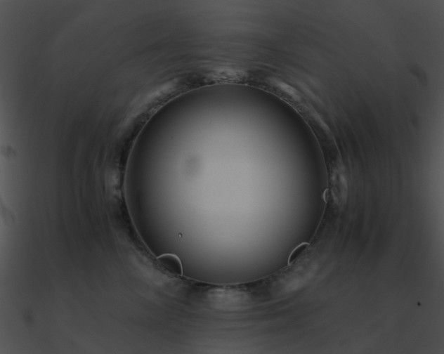 X0000090990714200708021522