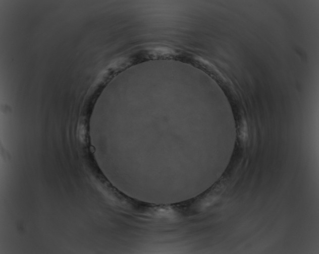X0000090990715200708021522