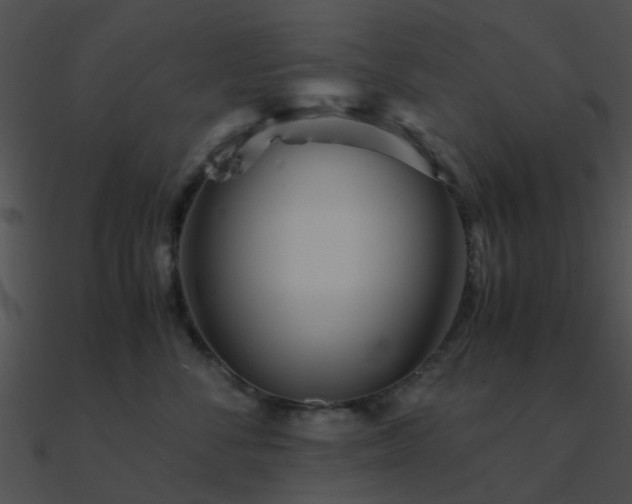 X0000090990716200708021522