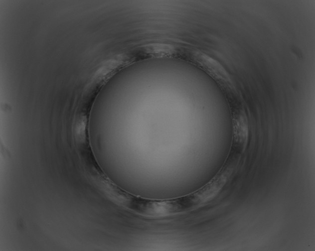 X0000090990717200708021522