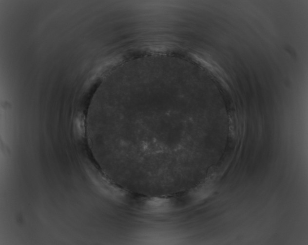 X0000090990718200708021522