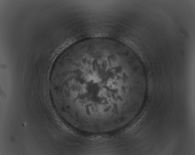 X0000090990721200708021521