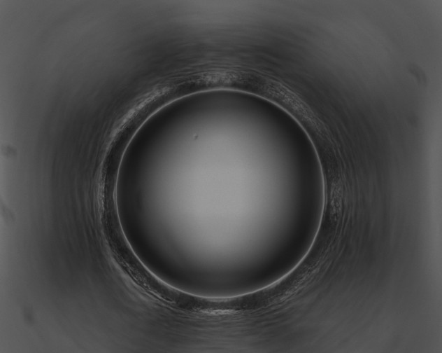X0000090990722200708021521