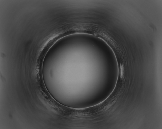 X0000090990723200708021521