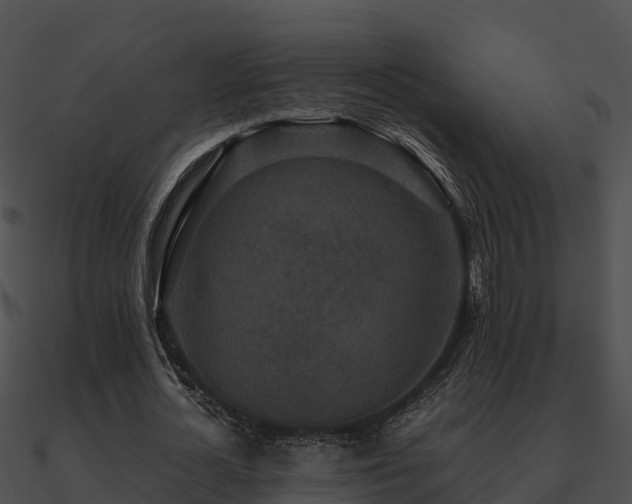 X0000090990724200708021521