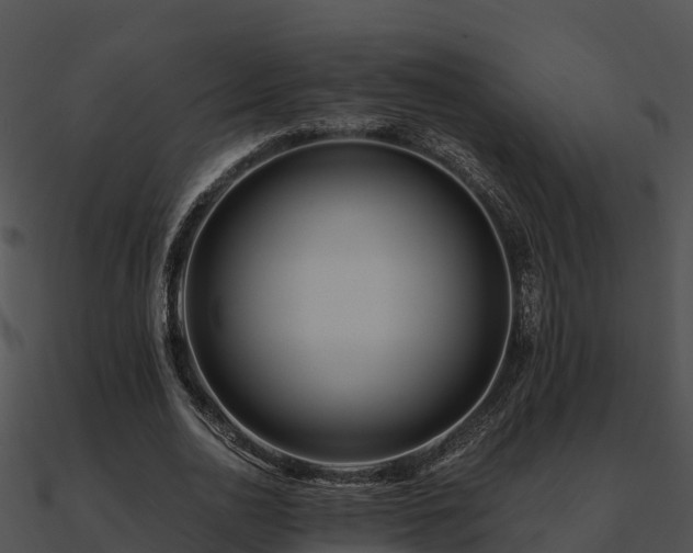 X0000090990726200708021521