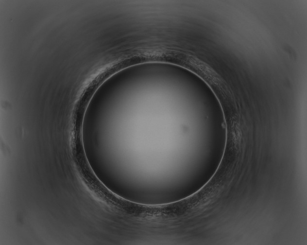 X0000090990728200708021521