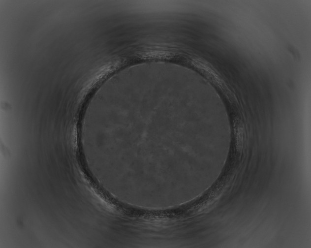 X0000090990729200708021521