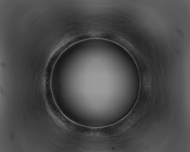 X0000090990730200708021521