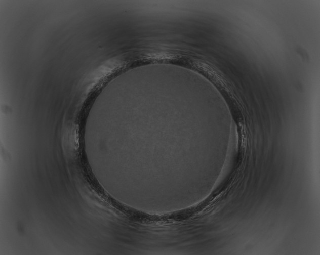 X0000090990731200708021521