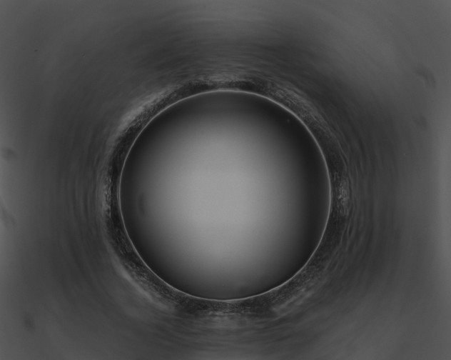 X0000090990732200708021521