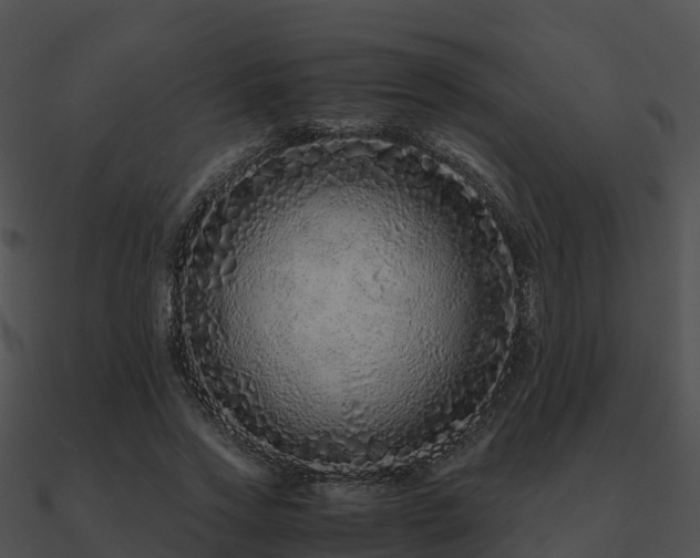 X0000090990733200708021521