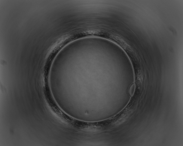 X0000090990734200708021521