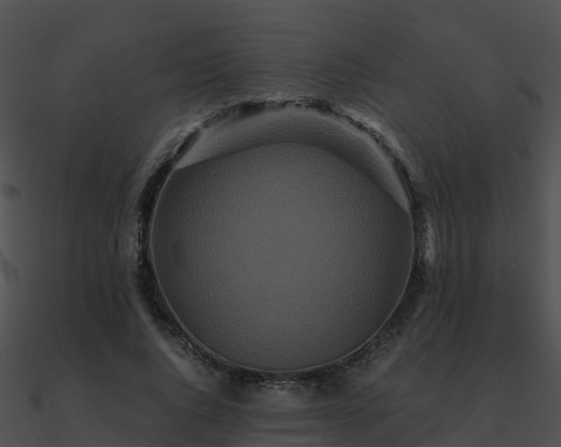 X0000090990736200708021521