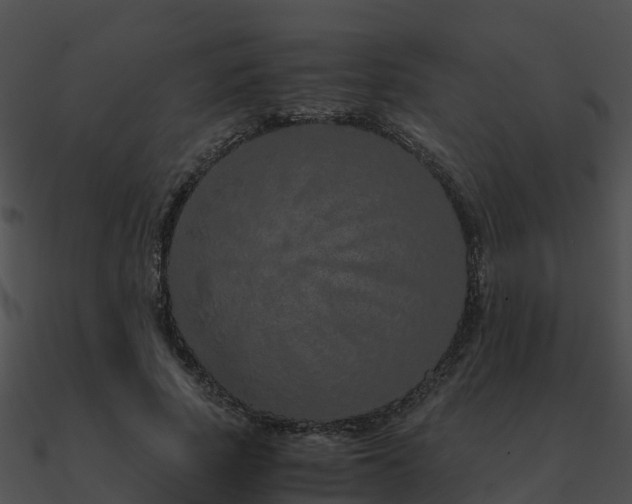 X0000090990737200708021521