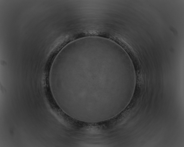 X0000090990738200708021521