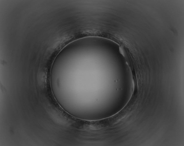 X0000090990739200708021521