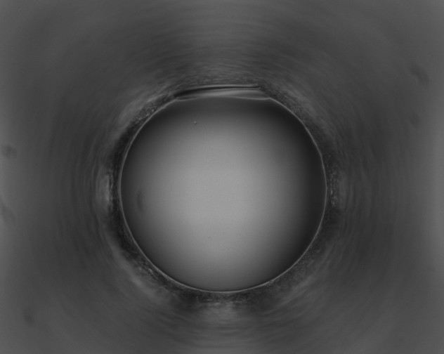 X0000090990740200708021521