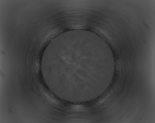 X0000090990741200708021521