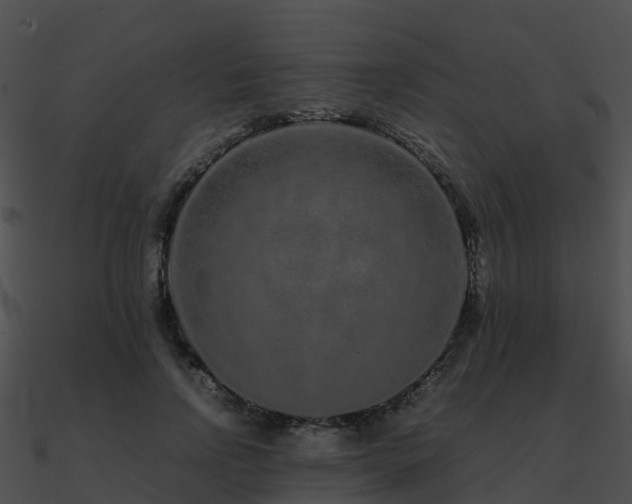 X0000090990742200708021521