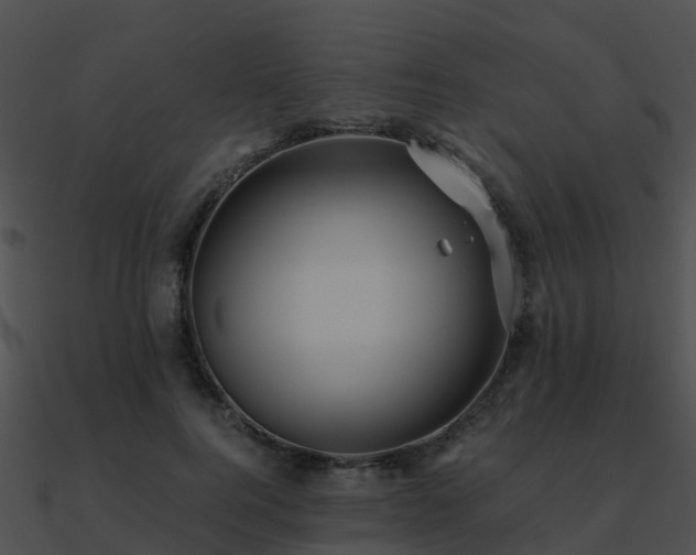 X0000090990744200708021521