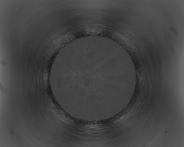X0000090990745200708021521