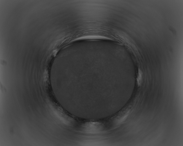 X0000090990748200708021521