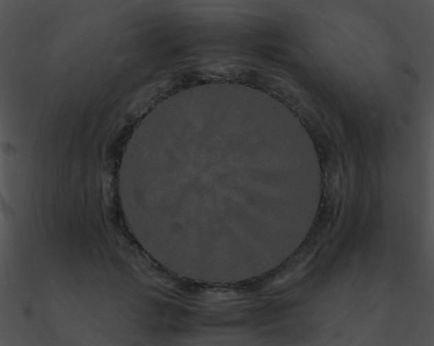 X0000090990749200708021521