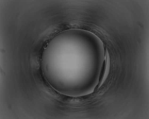 X0000090990751200708021521