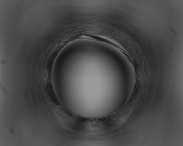 X0000090990752200708021521