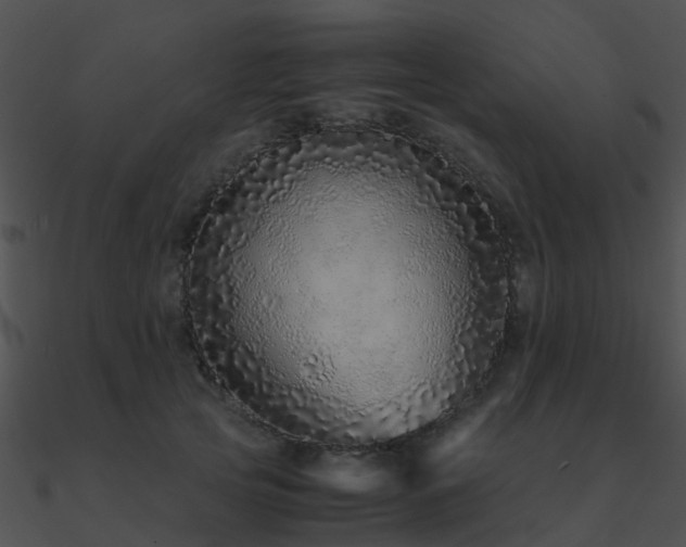 X0000090990753200708021521