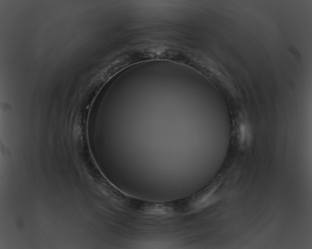 X0000090990754200708021521